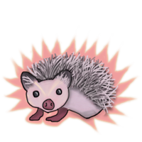 Hedgehog evo.png