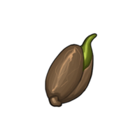 Seed.png