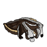 Anteater.png