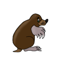 Mole.png