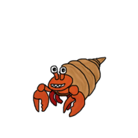 Hermit crab.png