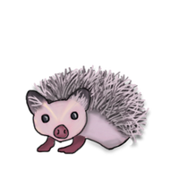 Hedgehog.png