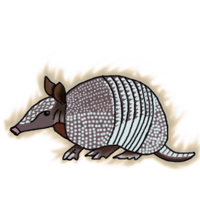 Armadillo evo.png