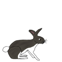 Rabbit.png